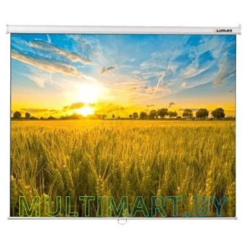 Проекционный экран Lumien Eco Picture 198x300 (LEP-100120)
